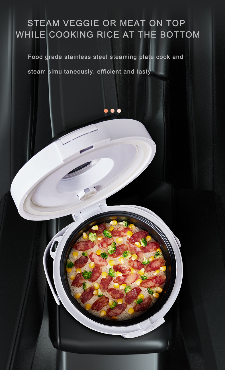 หม้อหุงข้าว 24V สำหรับรถบรรทุก - Camping Cooking Meals บทวิจารณ์และราคา