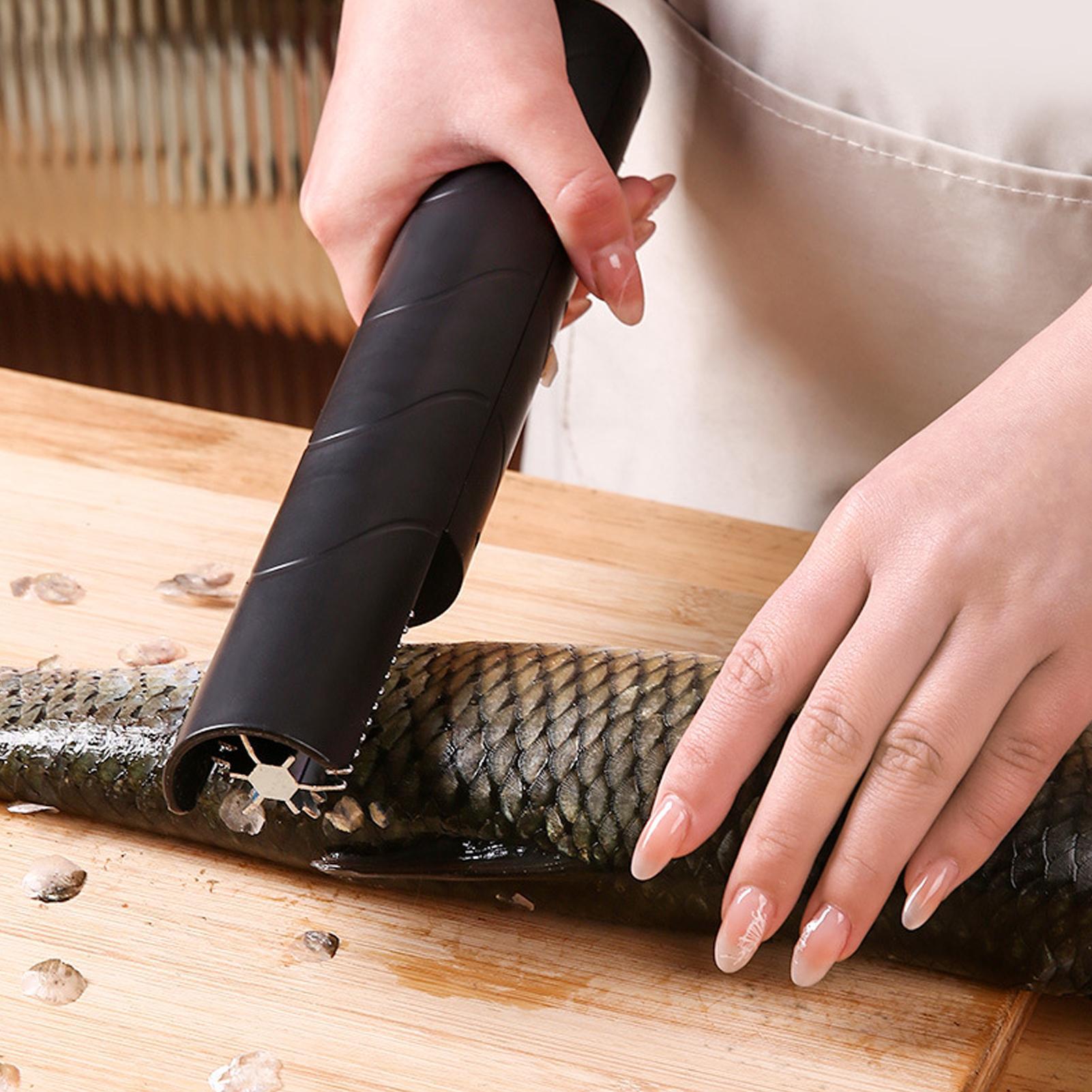 เครื่องขูดเกล็ดปลาแบบไร้สาย เค - Camping Cooking Meals บทวิจารณ์และราคา